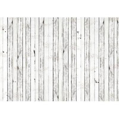 Asuka Studio Memory Place Forest Friends Wrapping Paper - Whitewash